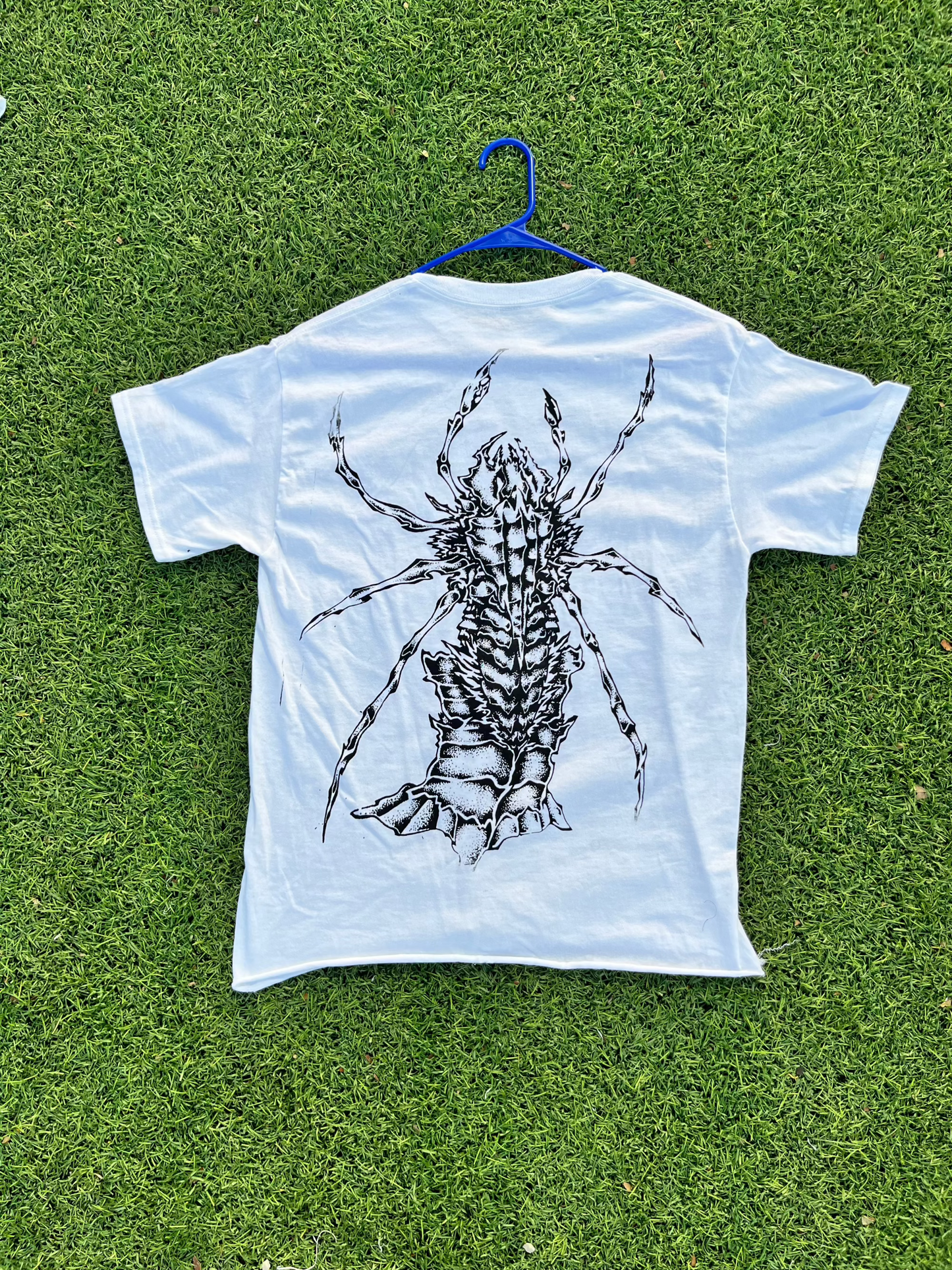 CRUSTACEAN CREATION